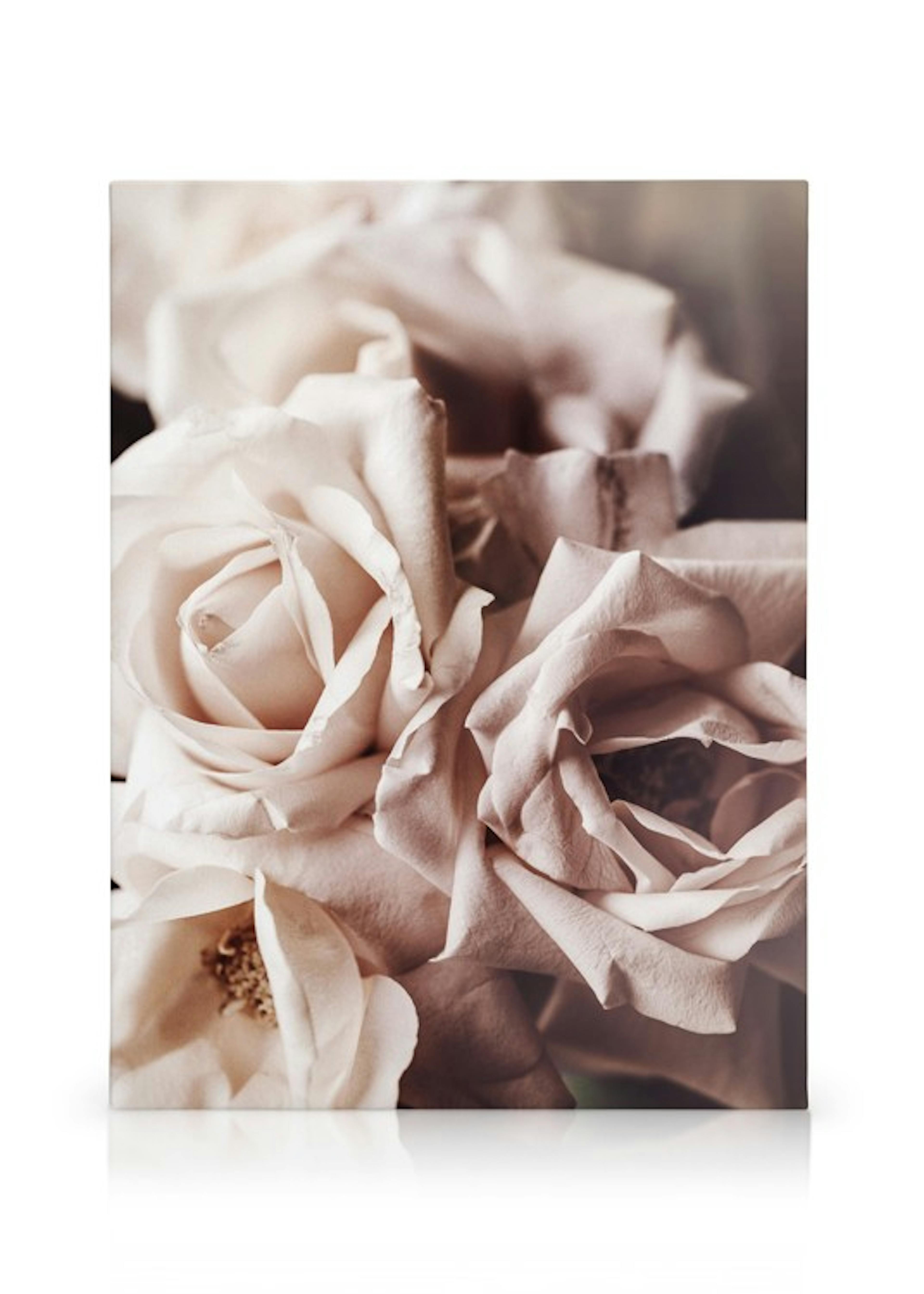 Product image: 1