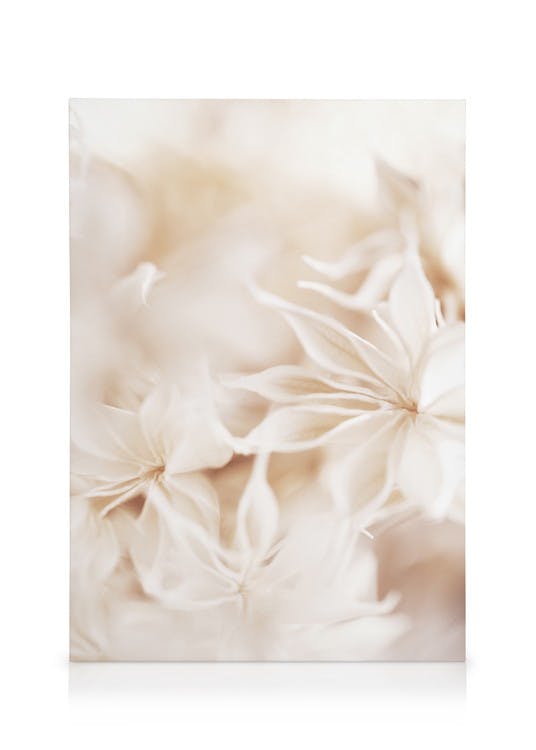 Canvas Prints Floral Bokeh Canvas print (50x70 cm - Oak Frame)