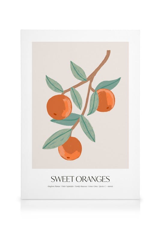 Canvas Schilderijen Sweet Oranges Canvas (30x40 cm - Fotolijst Eiken)