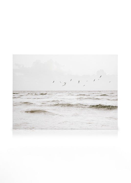 Obrazy na płótnie Flock of Seabirds Obraz na płótnie (30x40 cm)