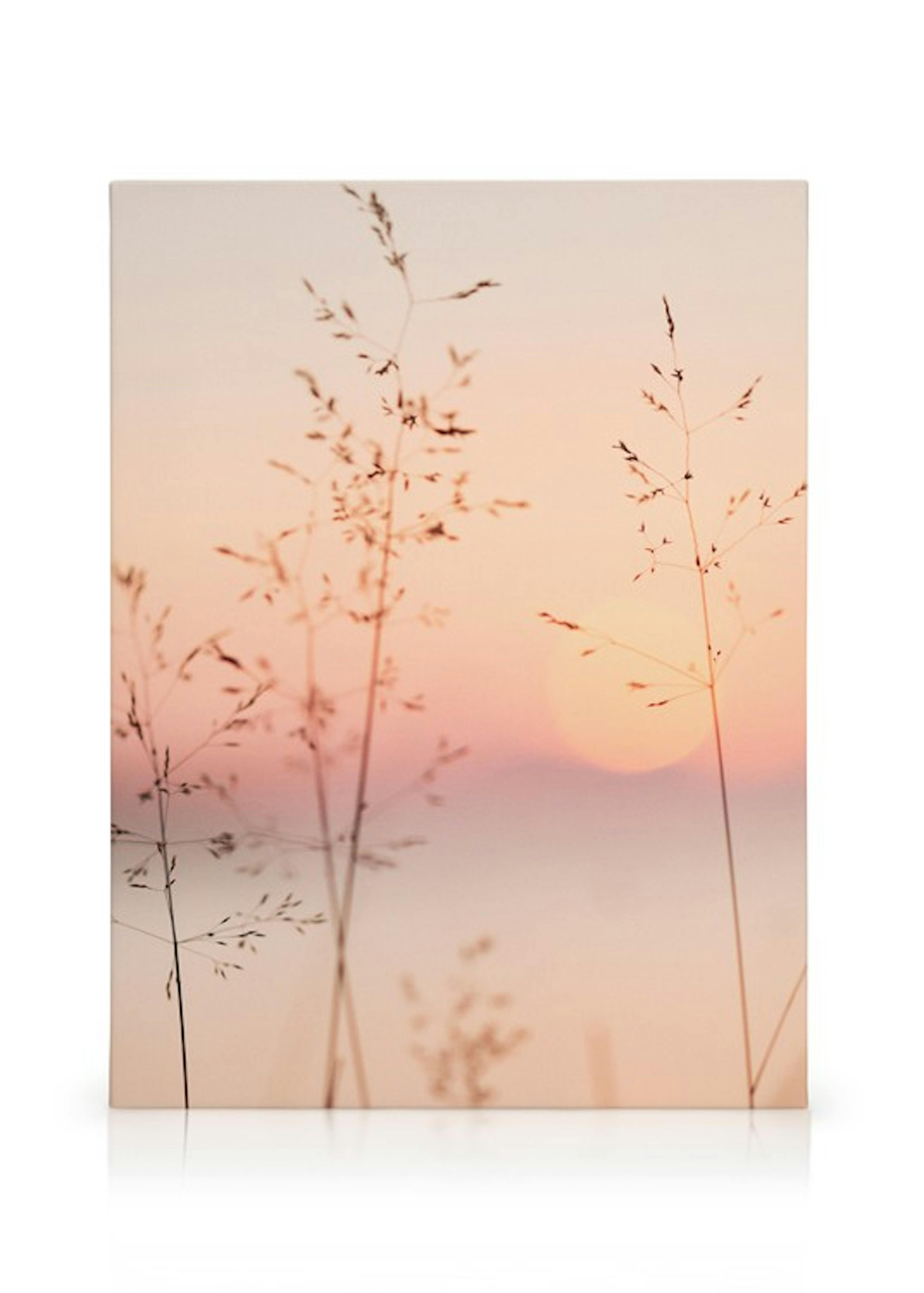 Product image: 1