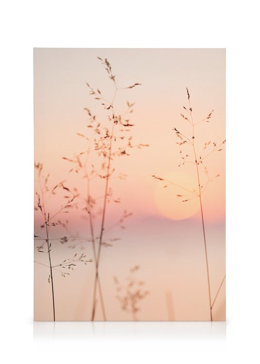 Canvas Prints Pastel Sunset Canvas print (50x70 cm)