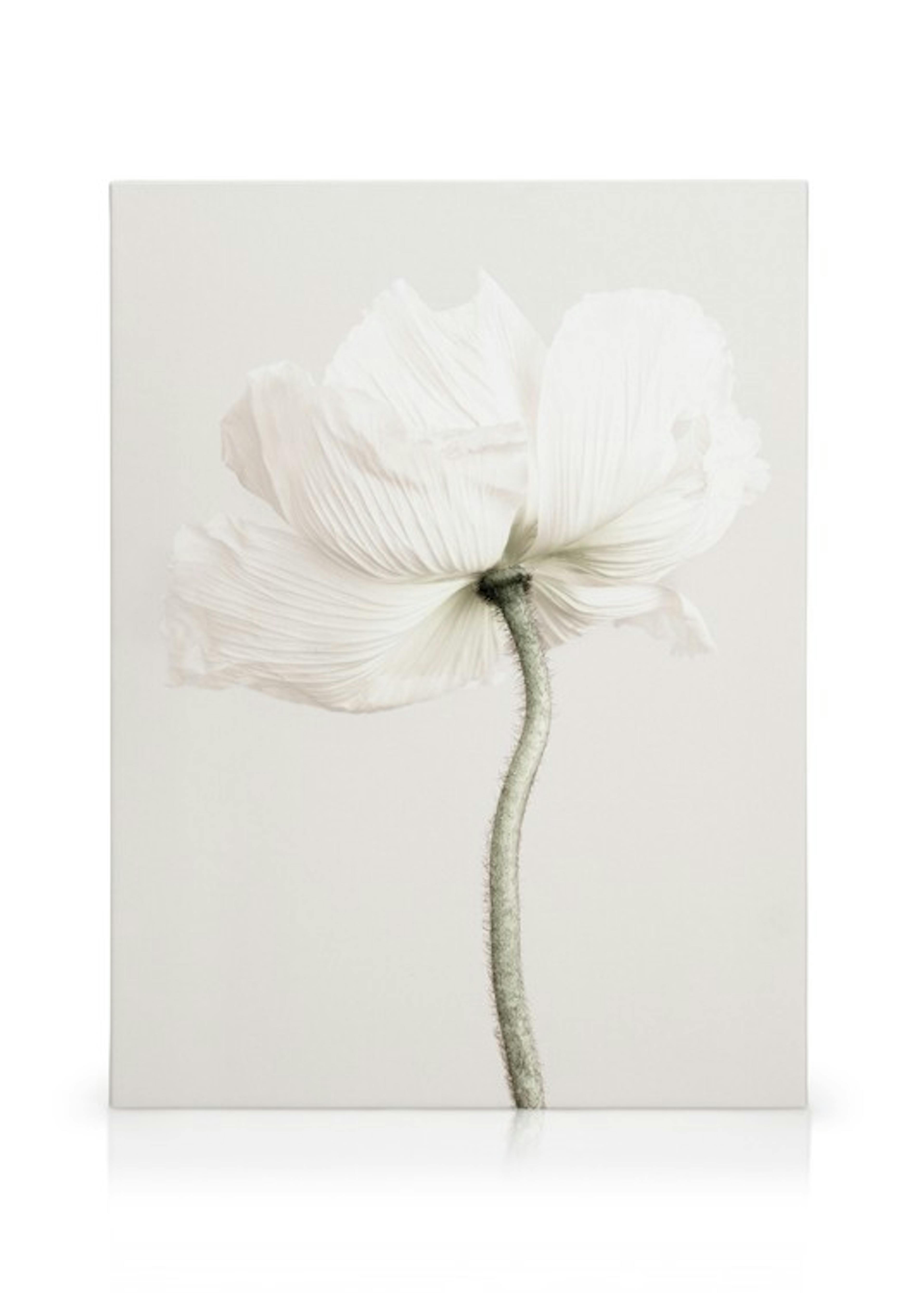 Product image: 1