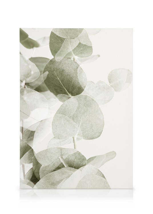 Abstract Eucalyptus No1 Canvas Eucalyptus leaves