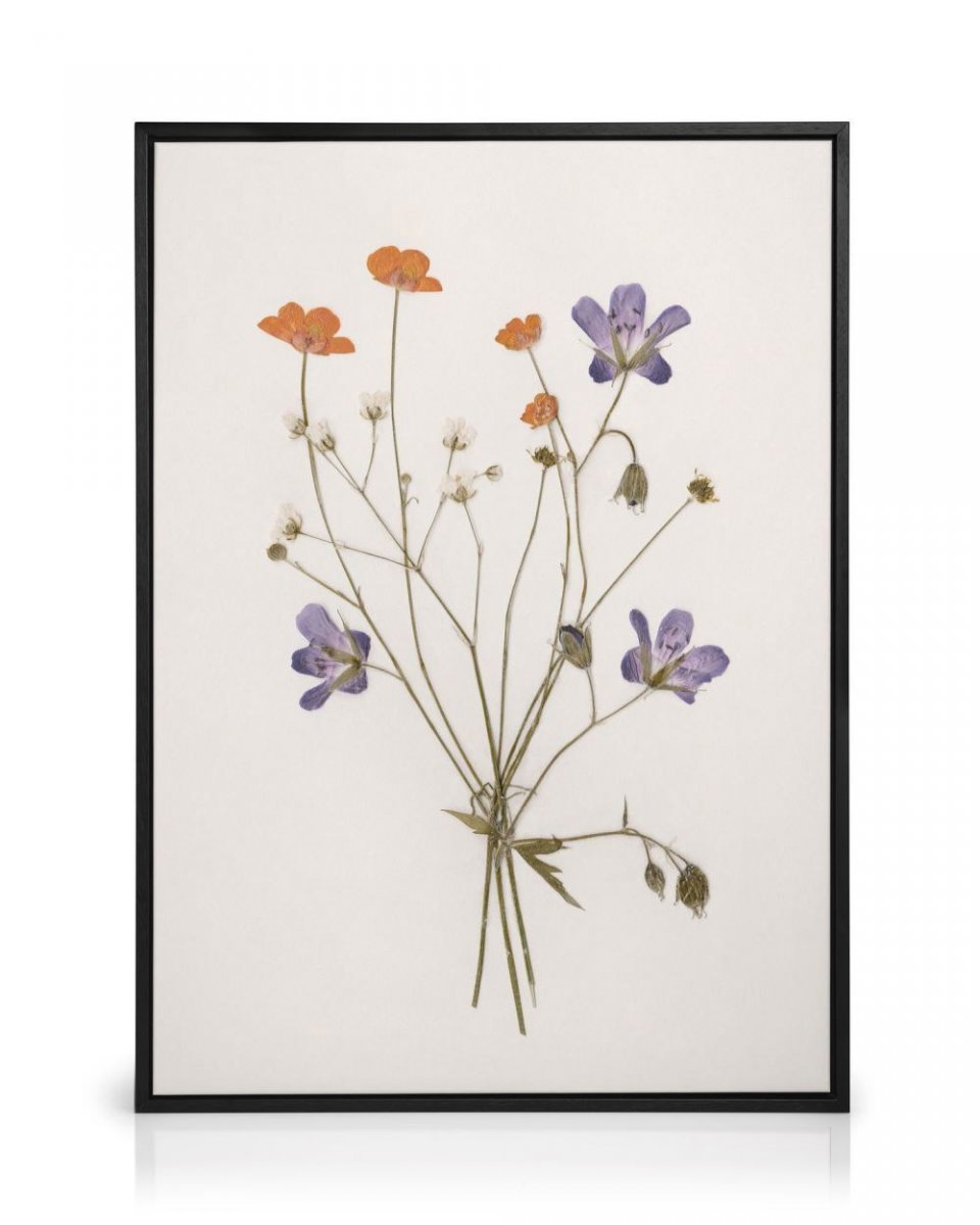 Pressed Flowers No1 Canvas