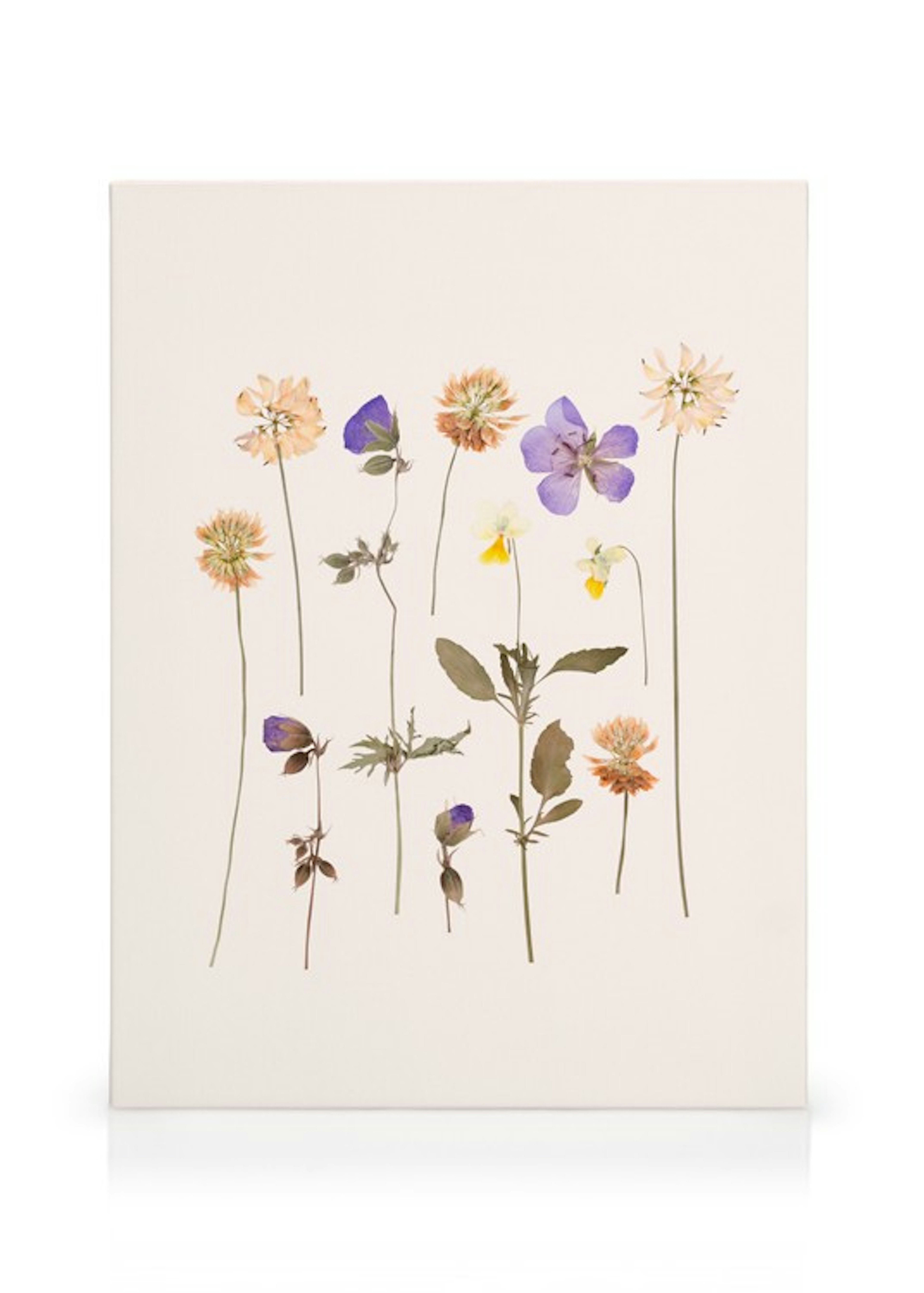 Product image: 1