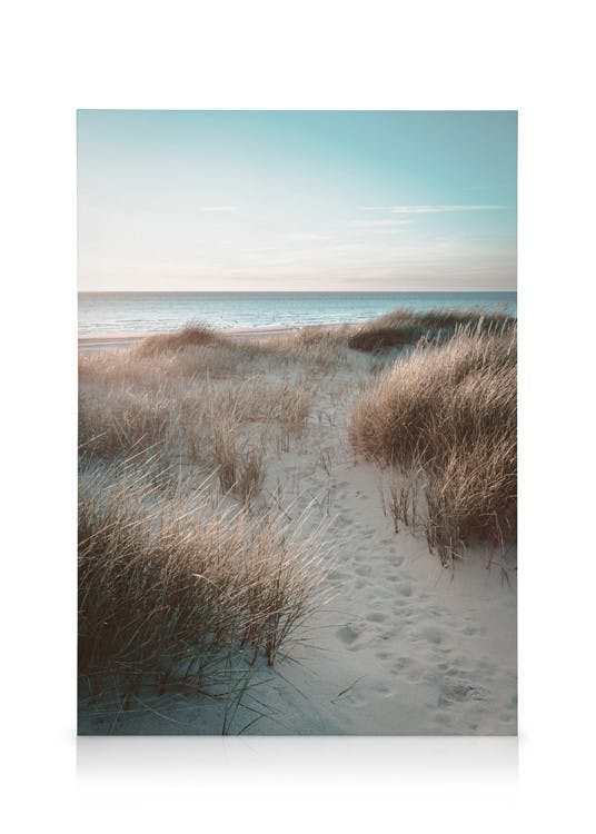 Sunset Beach Dune Toile (50x70 cm - Cadre de chêne) - Plages