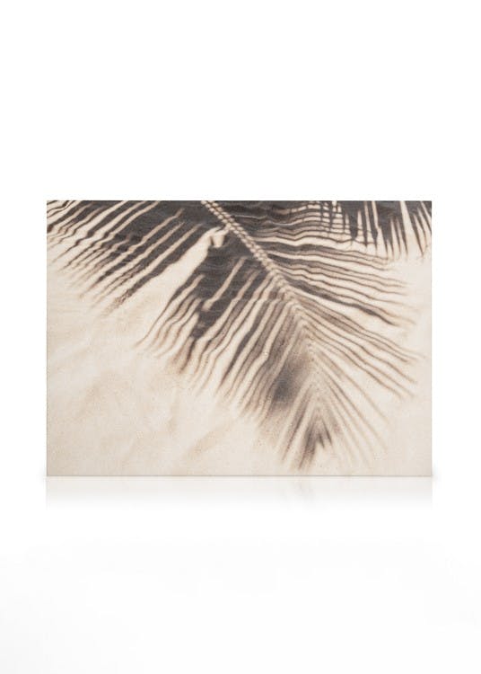 Canvas Prints Tropical Shadow Canvas print (50x70 cm - Black Frame)