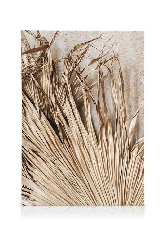 Obrazy na płótnie Dried Tropical Leaves Obraz na płótnie (30x40 cm)