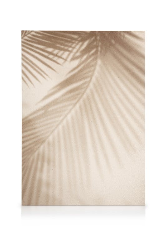 Leaf Shadow Tableau sur toile (30x40 cm - Cadre de chêne) - Plantes vertes
