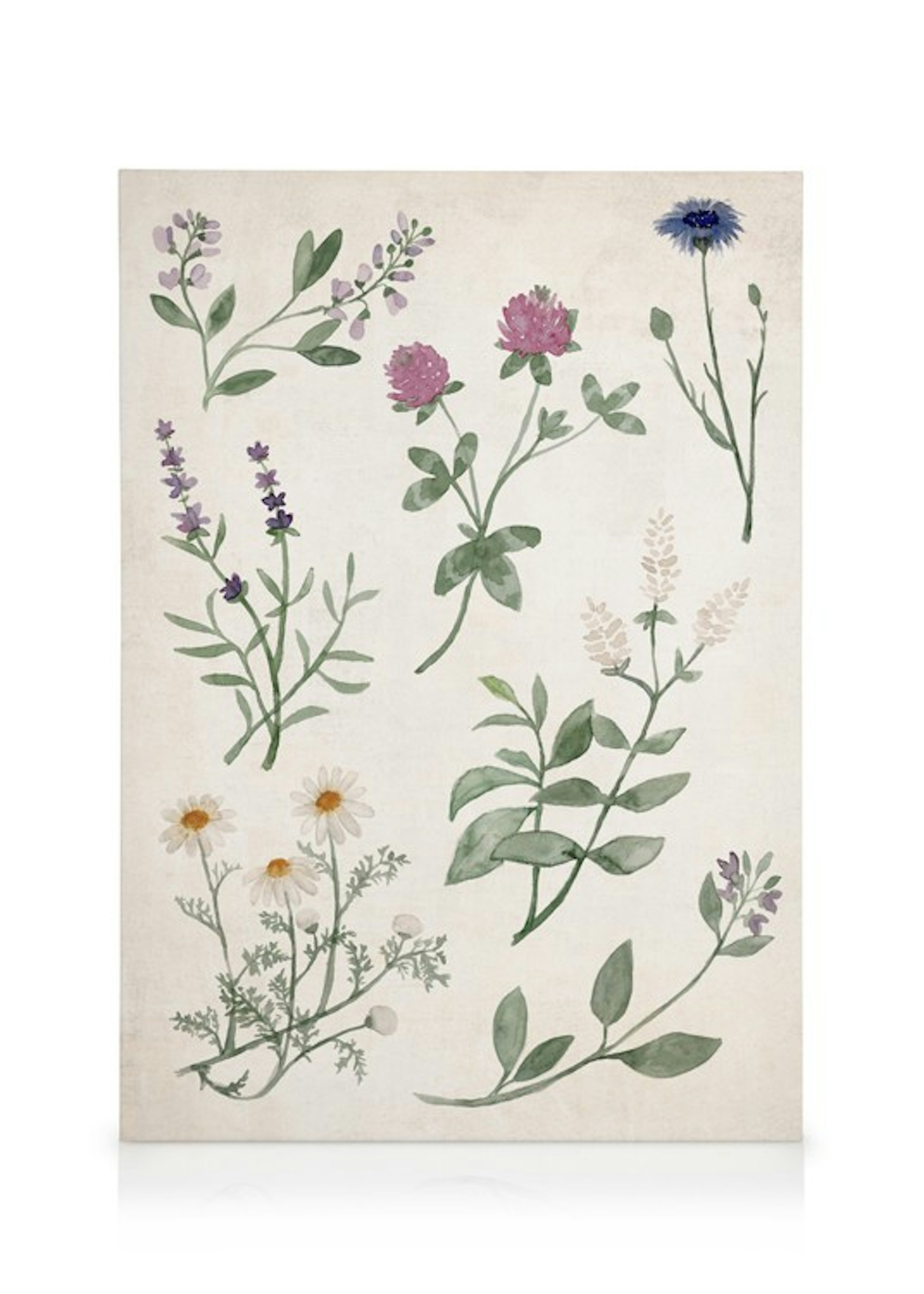 Product image: 2