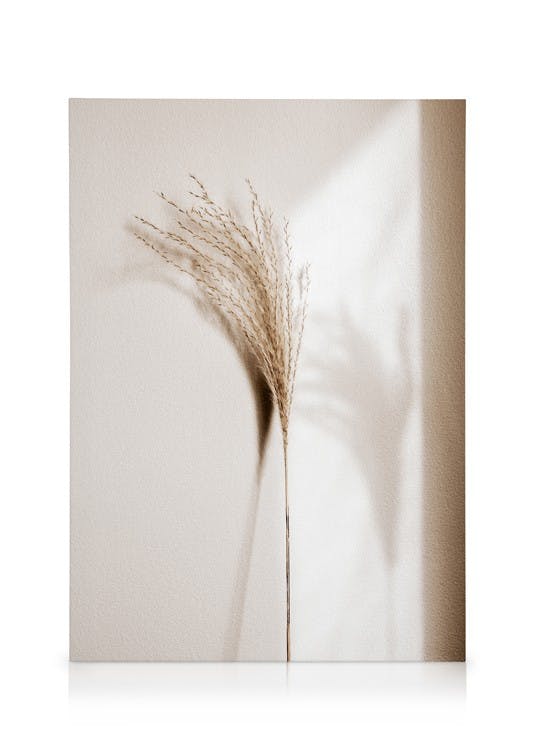 Reed Shadow Tableau sur toile (30x40 cm - Cadre de chêne) - Plantes vertes