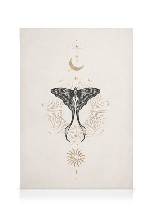 Obrazy na płótnie Moon Star Butterfly Obraz na płótnie (30x40 cm)