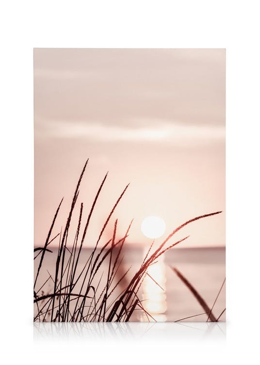 Canvas Prints Sunset Grass Canvas print (30x40 cm - Oak Frame)
