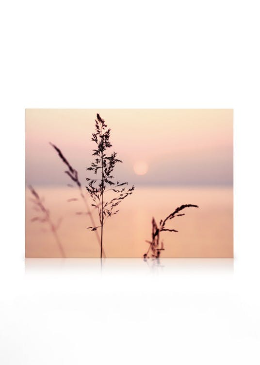 Little Sunset Grass Stampa su Tela (30x40 cm - Cornice in nero)- Mari e oceani