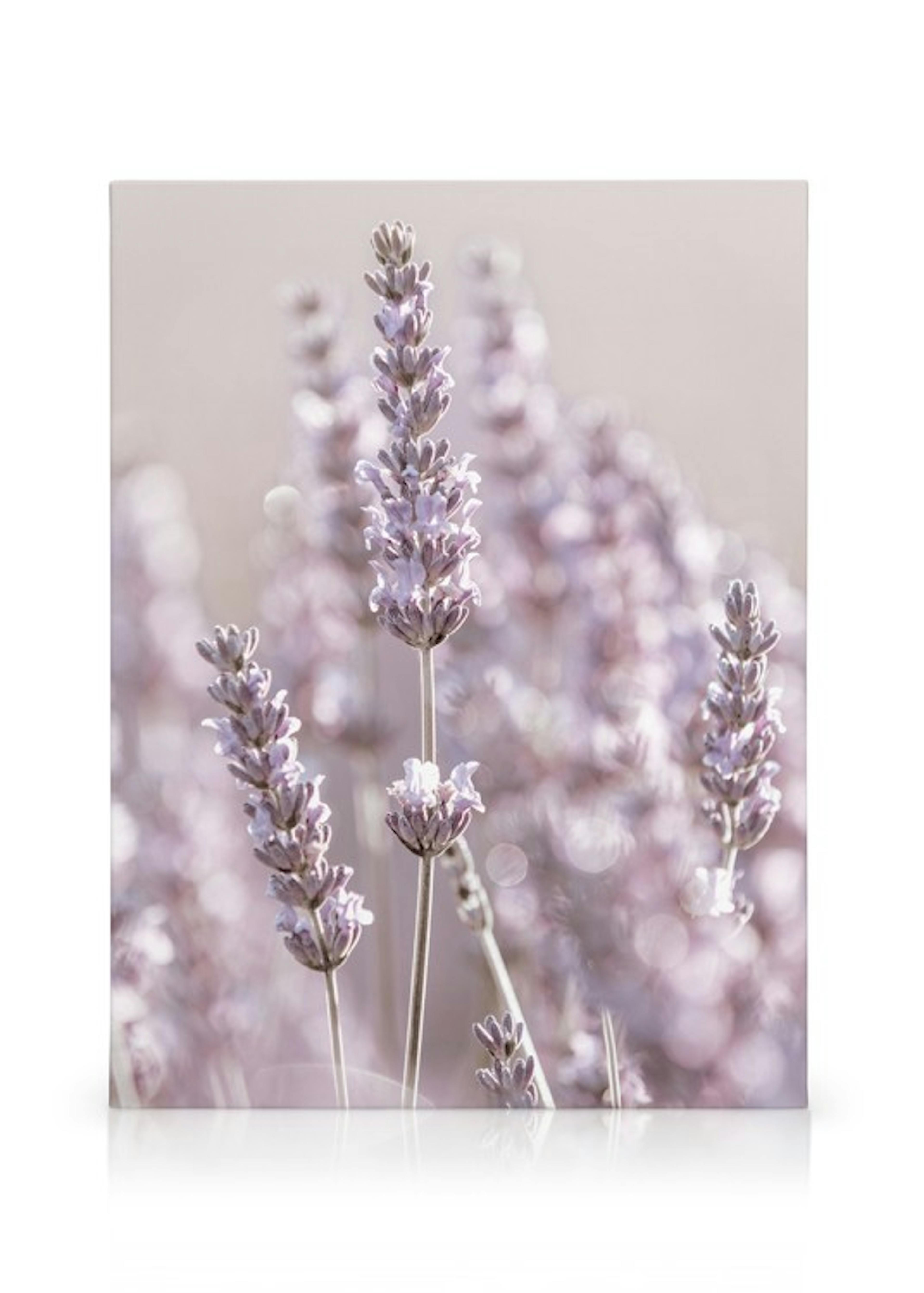 Product image: 1