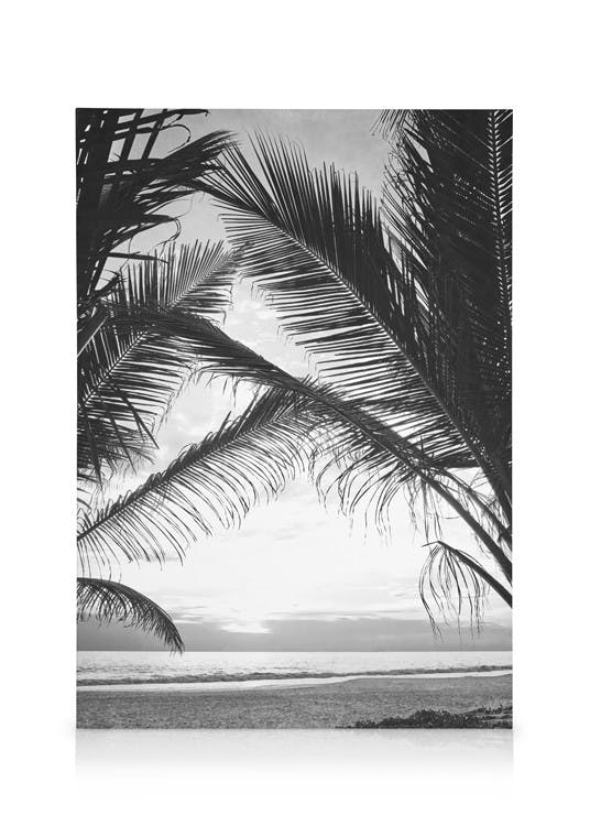 Canvas Prints Between Palm Leafs Canvas print (50x70 cm)