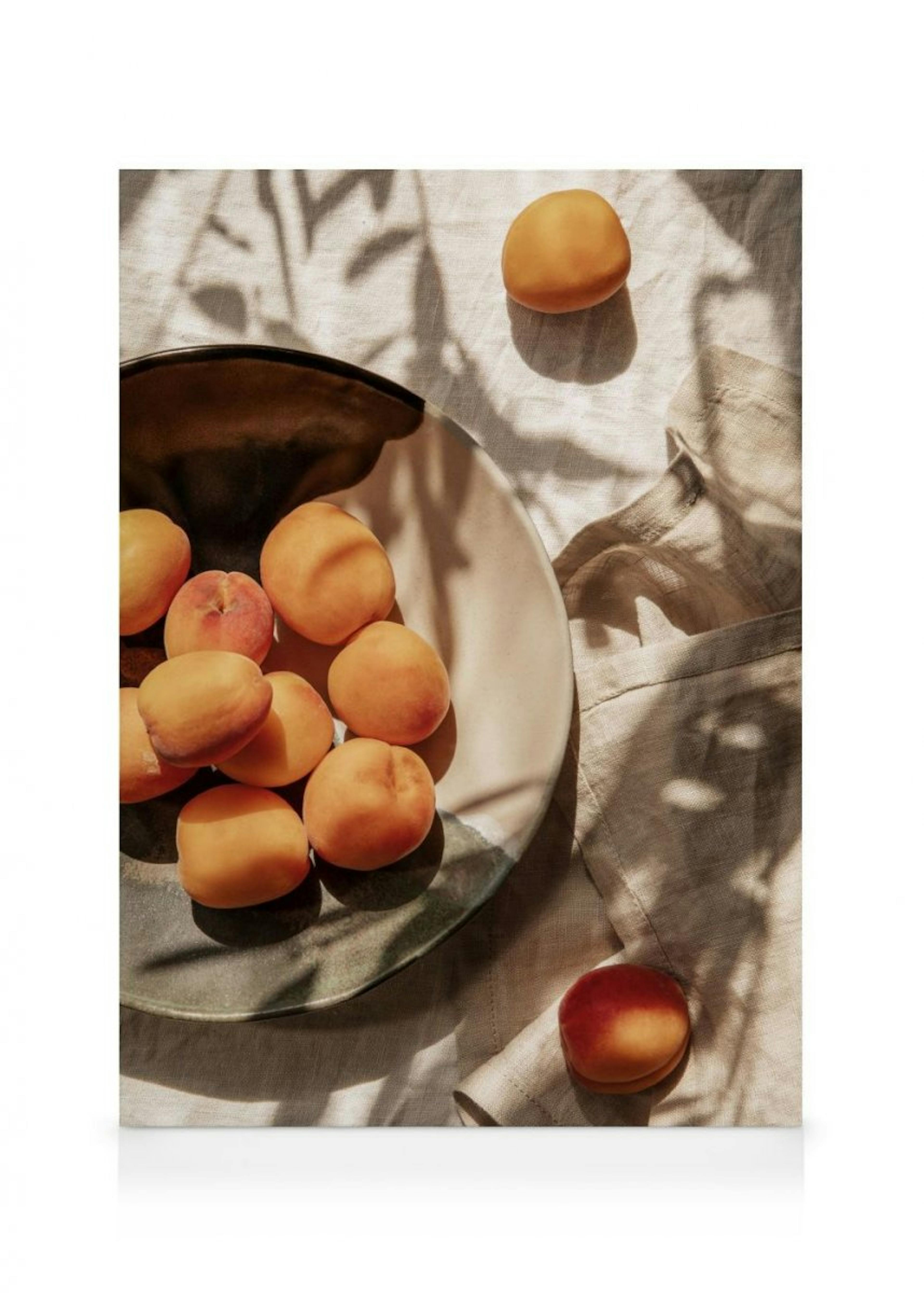 Apricots In Sunlight Lienzo 0