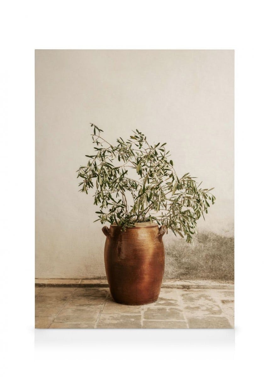 Obrazy na płótnie Rustic Olive Branch Obraz na płótnie (100x140 cm - Ramka dębowa)