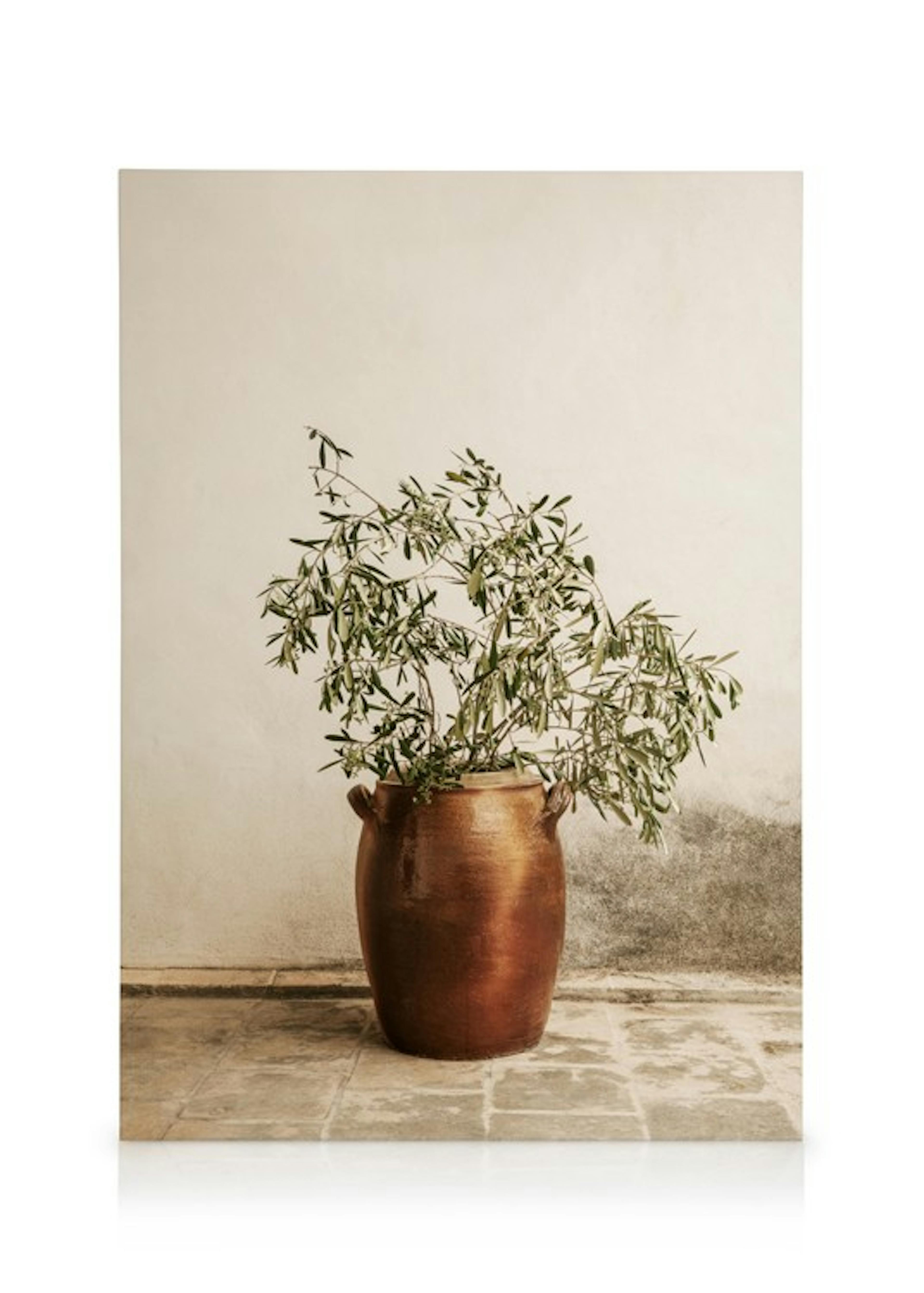 Product image: 1
