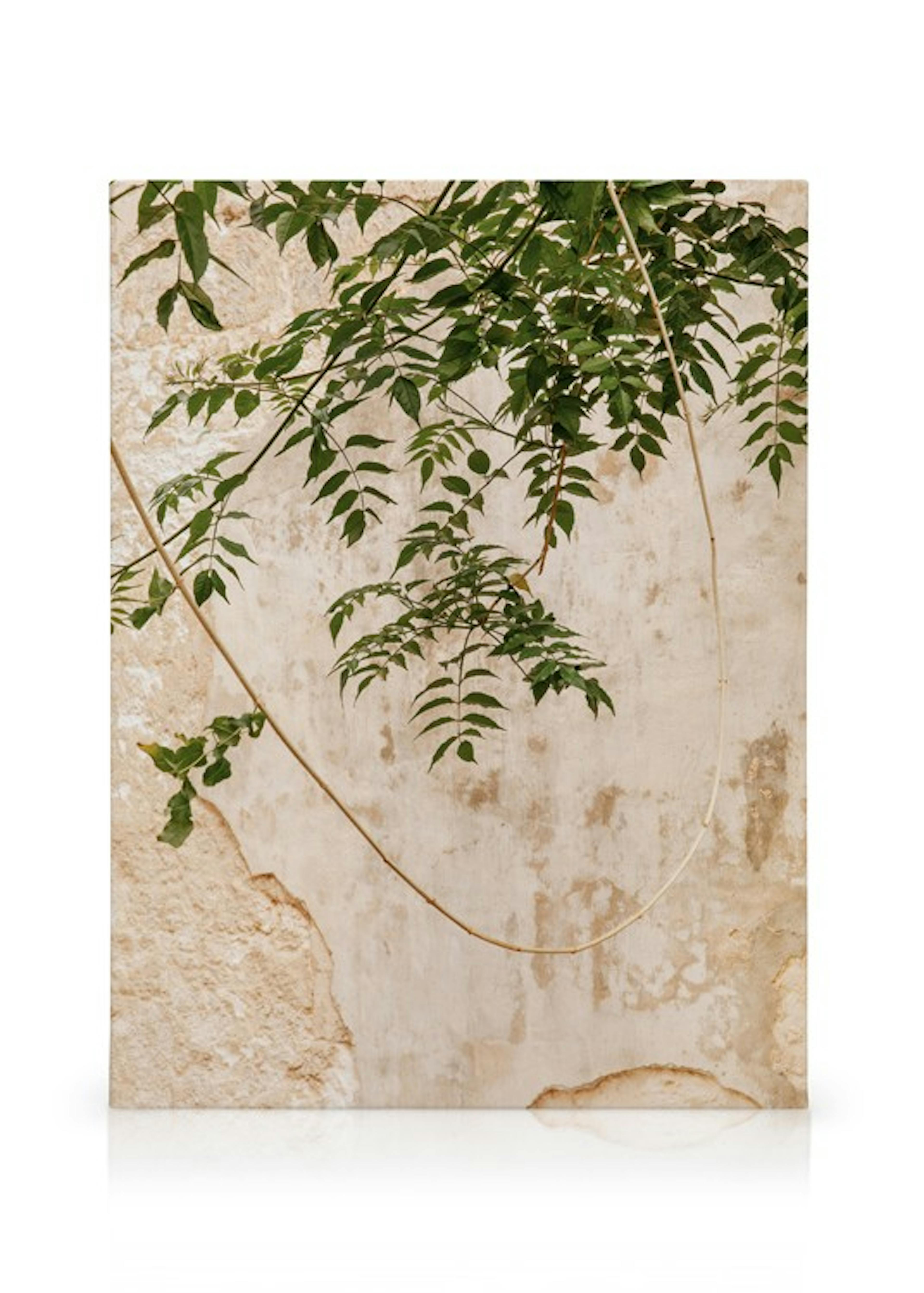Product image: 1