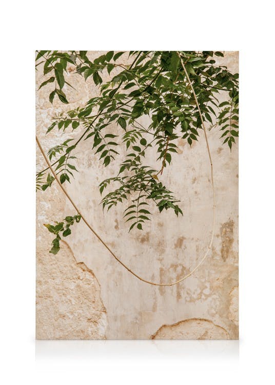 Canvas Prints Concrete Leaves Canvas print (50x70 cm - Oak Frame)