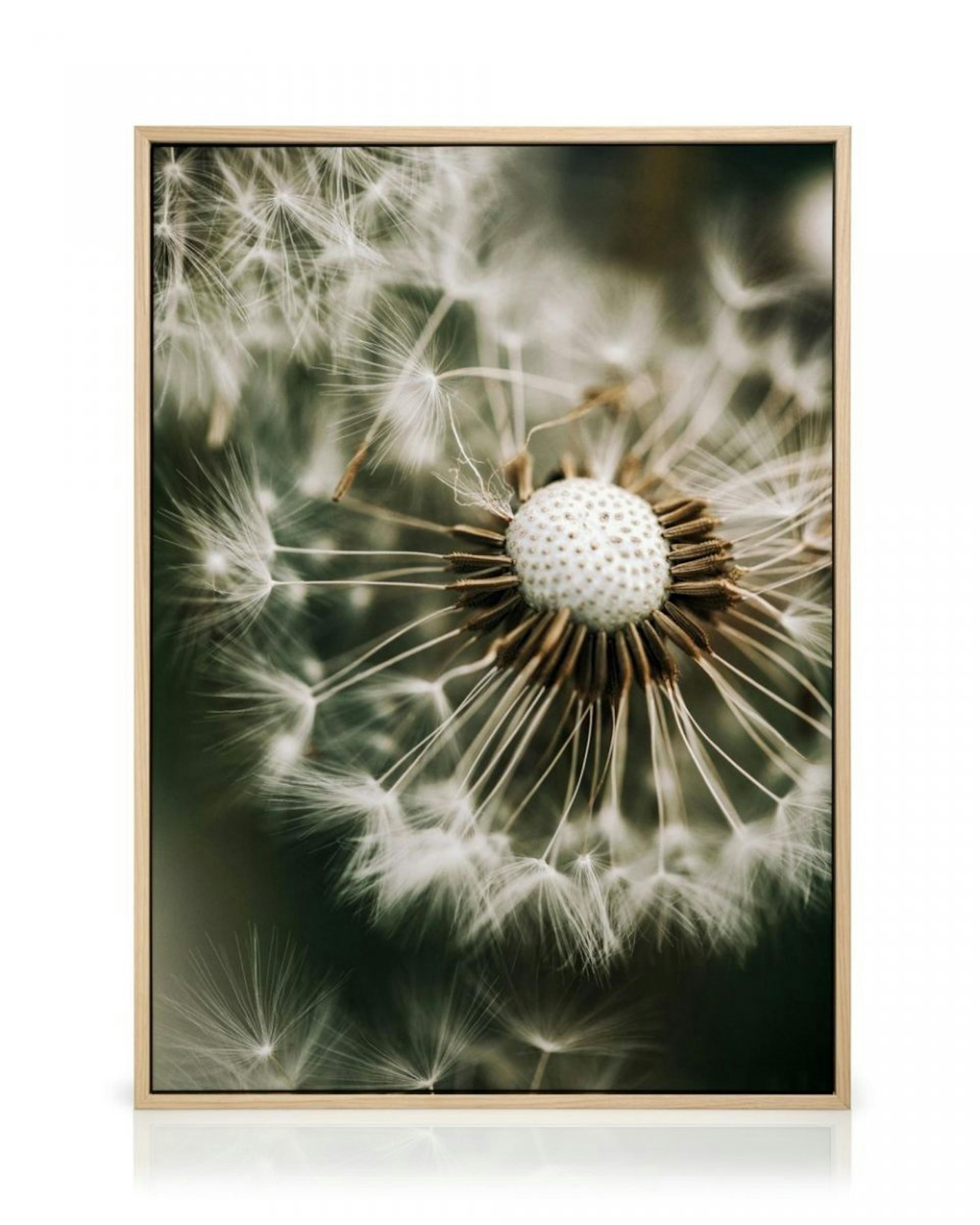 Dandelion in Green Canvas