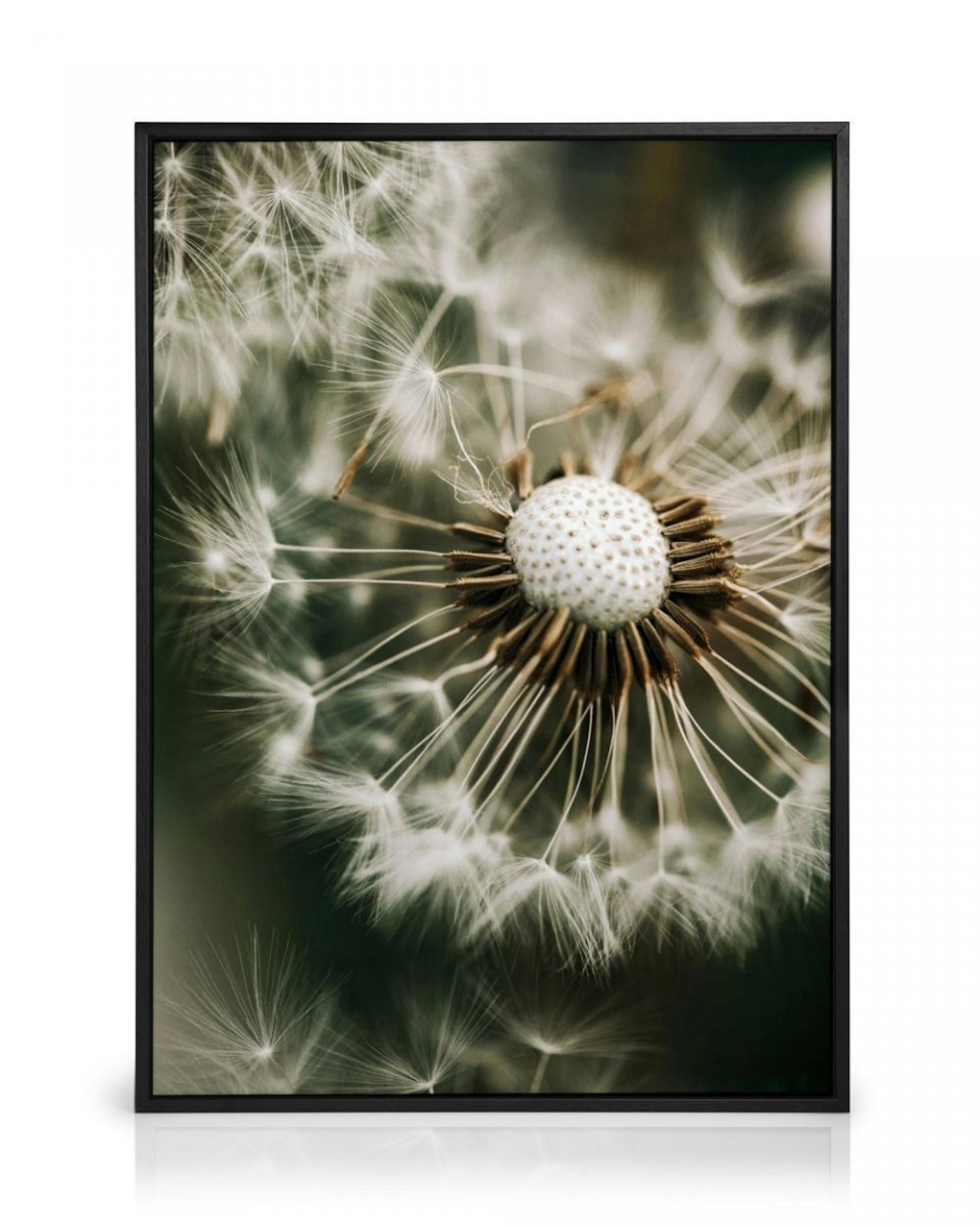 Dandelion in Green Canvas