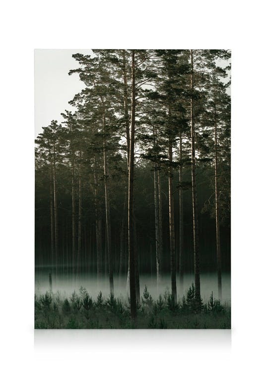 Obrazy na płótnie Misty Forest Obraz na płótnie (30x40 cm - Czarna ramka)