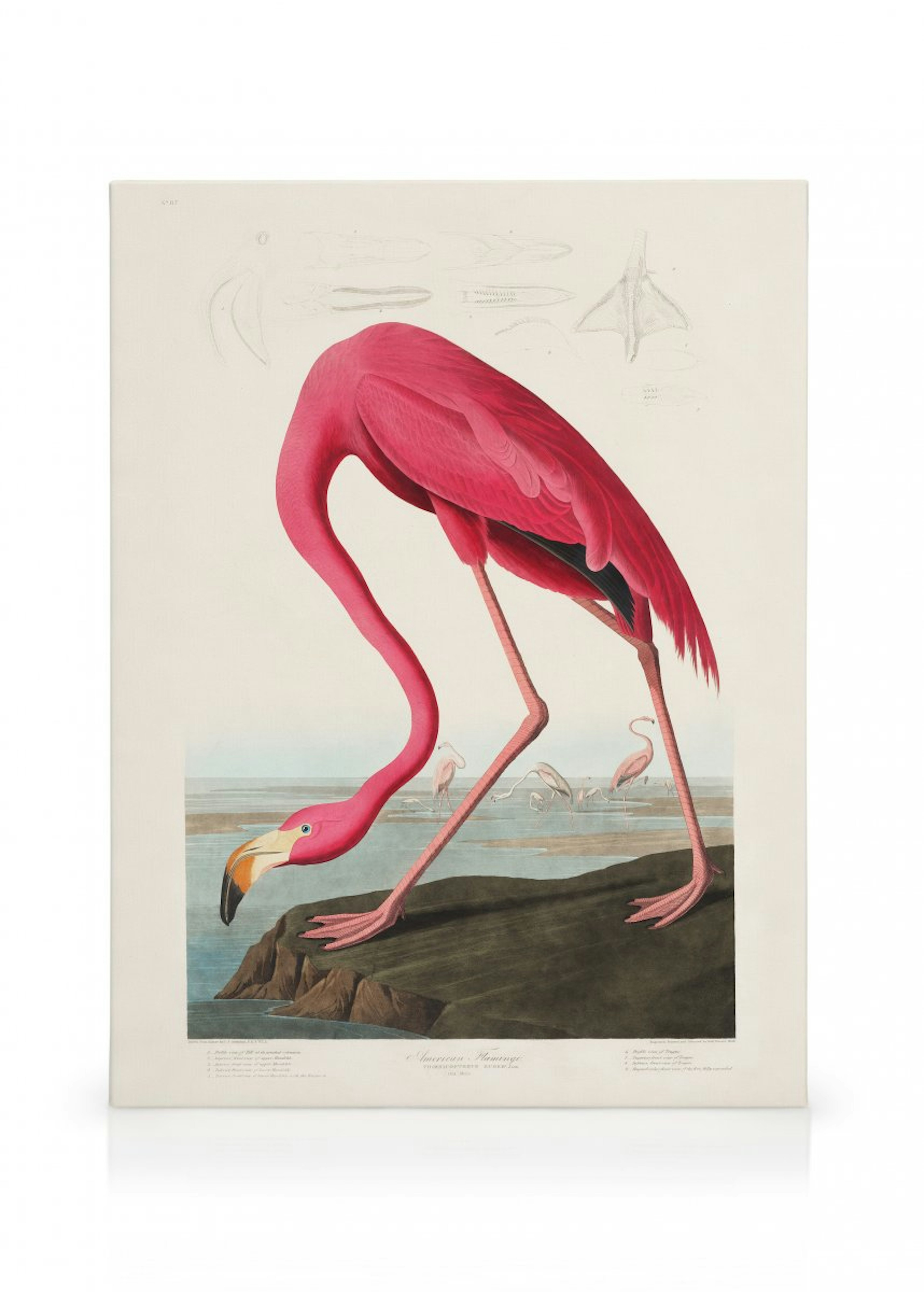 Product image: 1