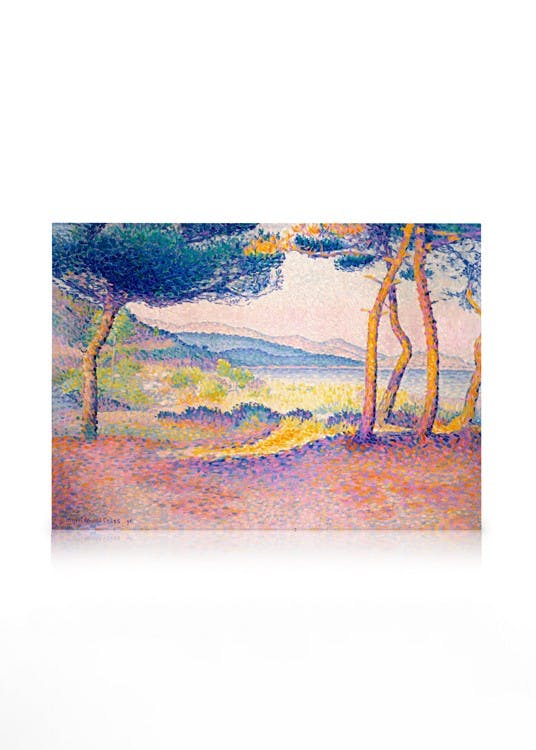 Henri-Edmond Cross - Pines Along the Shore Tableau sur toile (30x40 cm - Cadre noir) - Toiles