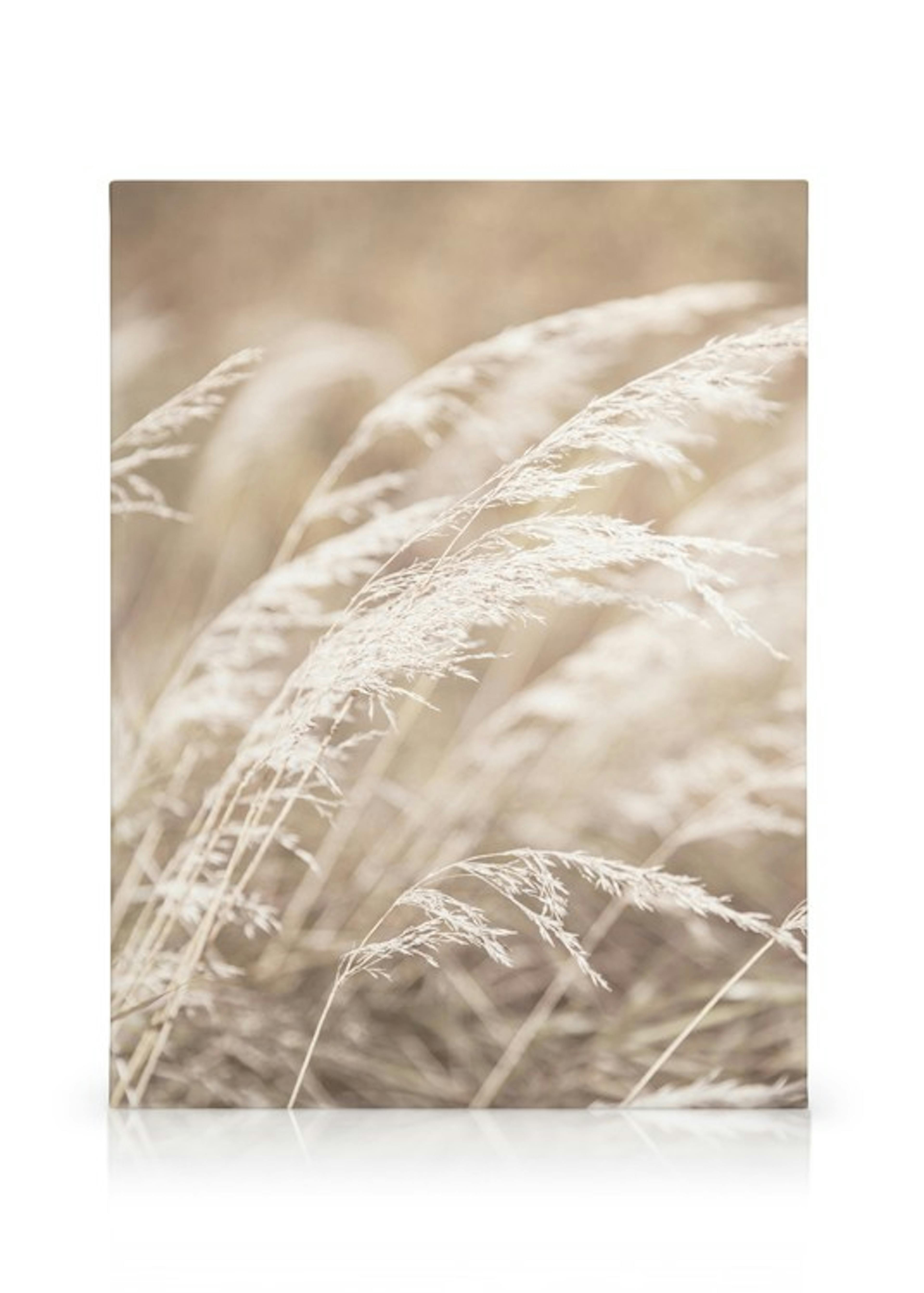 Product image: 1