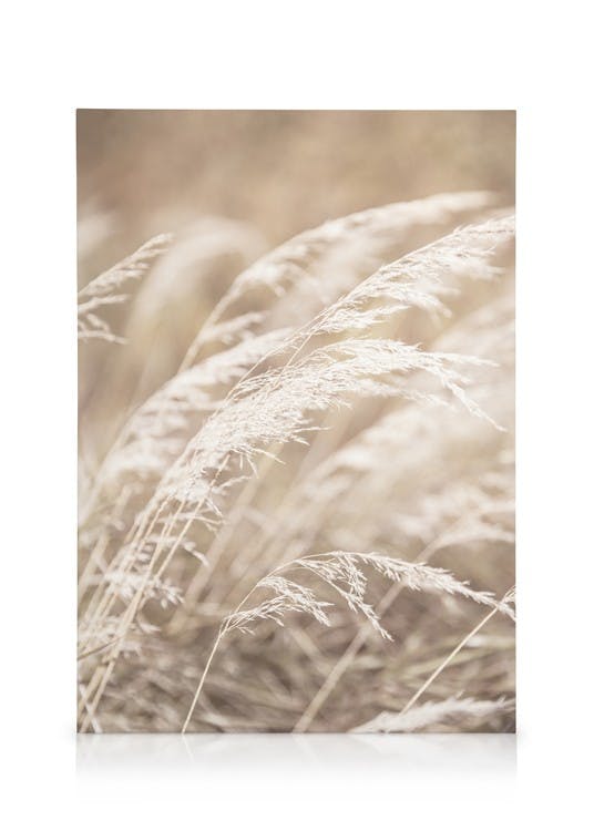 Leinwandbilder Dried Grass on Field No4 Leinwandbild (50x70 cm - Eichenrahmen)