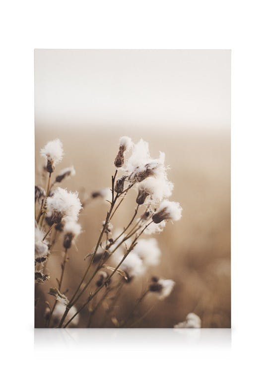 Canvas Prints Moody Flowers Canvas print (50x70 cm)
