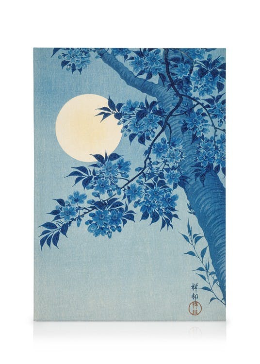 Ohara Koson - Blossoming Cherry on a Moonlit Night Stampa su Tela (50x70 cm)-Stampe su tela