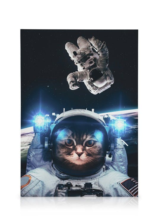 Canvas Prints Cat in Space Canvas print (30x40 cm - Oak Frame)