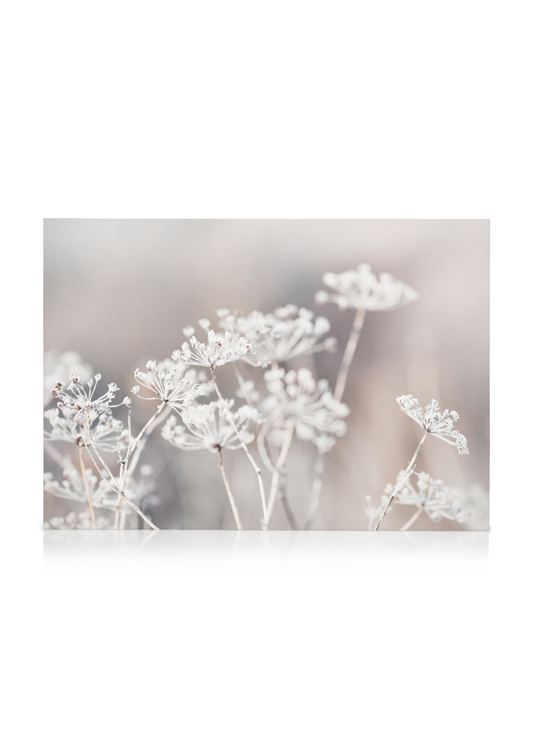 Frozen Botanical Tableau sur toile - Fleurs congelées - desenio.fr