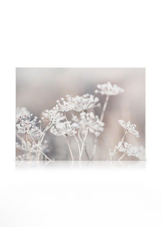 Canvas Prints Frozen Botanical Canvas print (70x100 cm - Oak Frame)