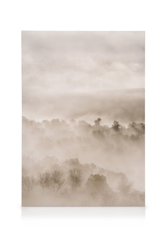 Canvas Prints Foggy Landscape Canvas print (50x70 cm - Oak Frame)