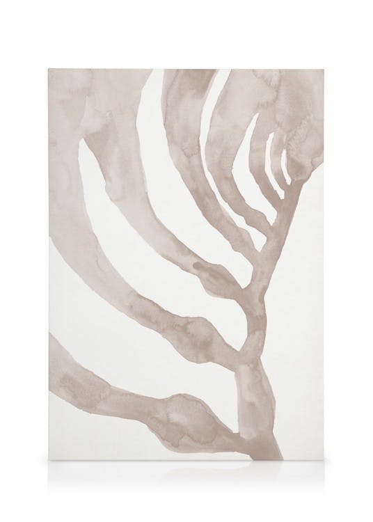 Obrazy na płótnie Beige Seaweed Obraz na płótnie (50x70 cm)