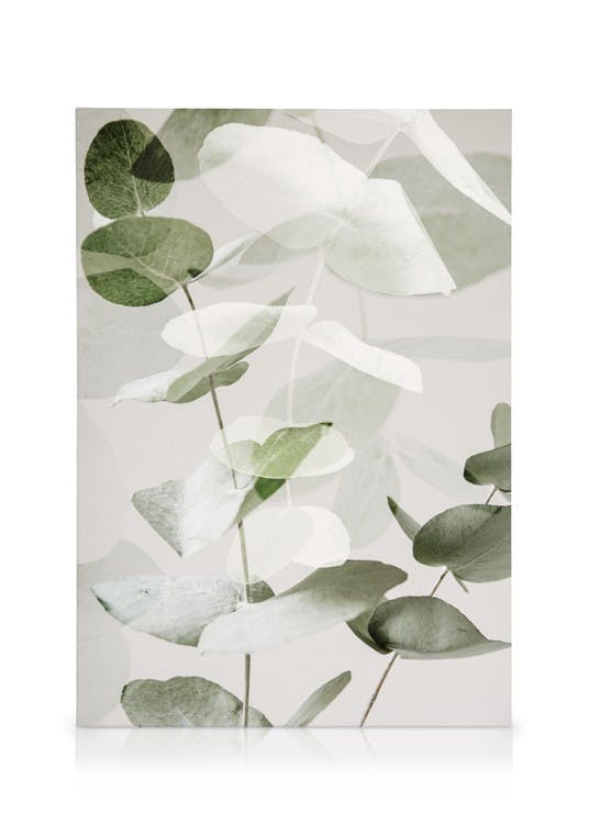 Canvas Schilderijen Eucalyptus Shades No2 Canvas (30x40 cm)
