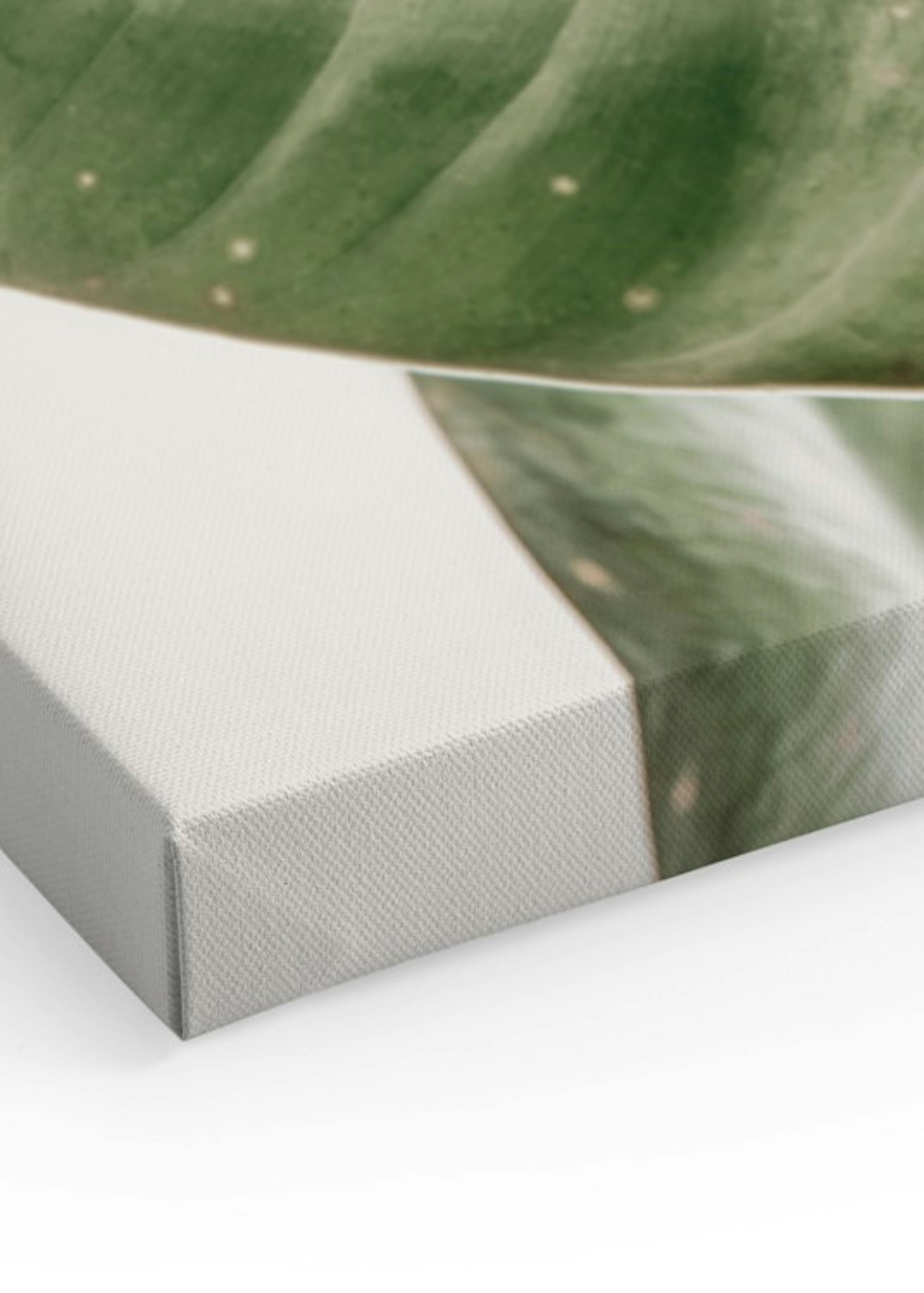 Product image: 3