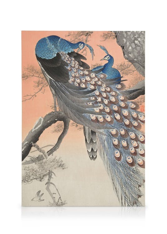 Canvas Prints Ohara Koson - Two Peacocks on Tree Branch Canvas print (50x70 cm)