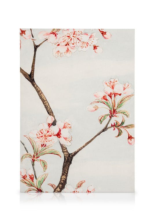 Canvas Prints Megata Morikaga - Sakura Cherry Canvas print (30x40 cm - Oak Frame)