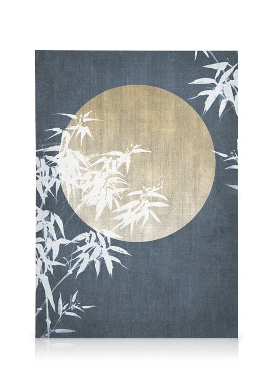 Obrazy na płótnie Moon Night Sky No2 Obraz na płótnie (50x70 cm - Ramka dębowa)