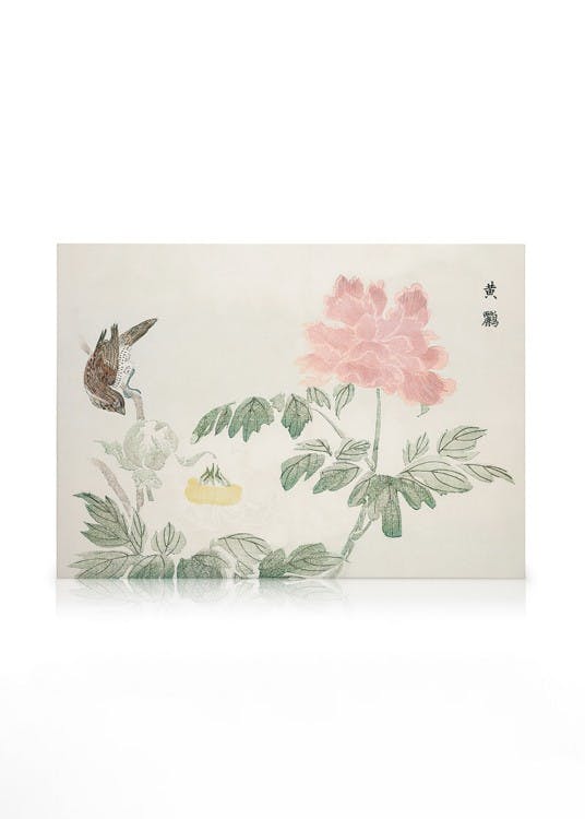 Obrazy na płótnie Chinese Peony Obraz na płótnie (50x70 cm - Czarna ramka)