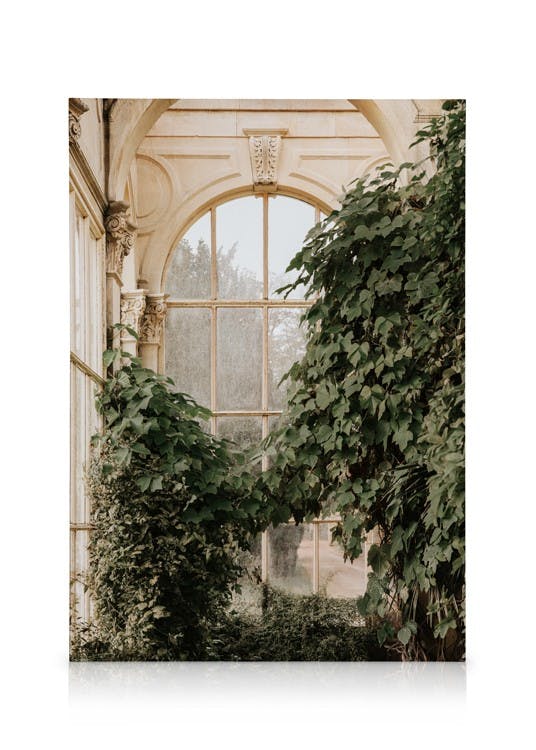 Canvastavlor Inside Orangery Canvastavla (50x70 cm - Ekram)