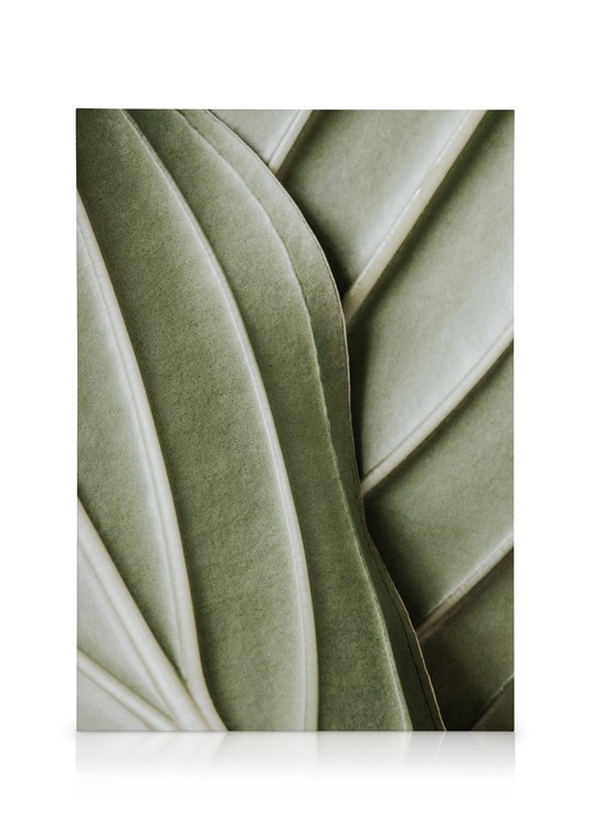 Organic Lines Canvas Close up green leaves