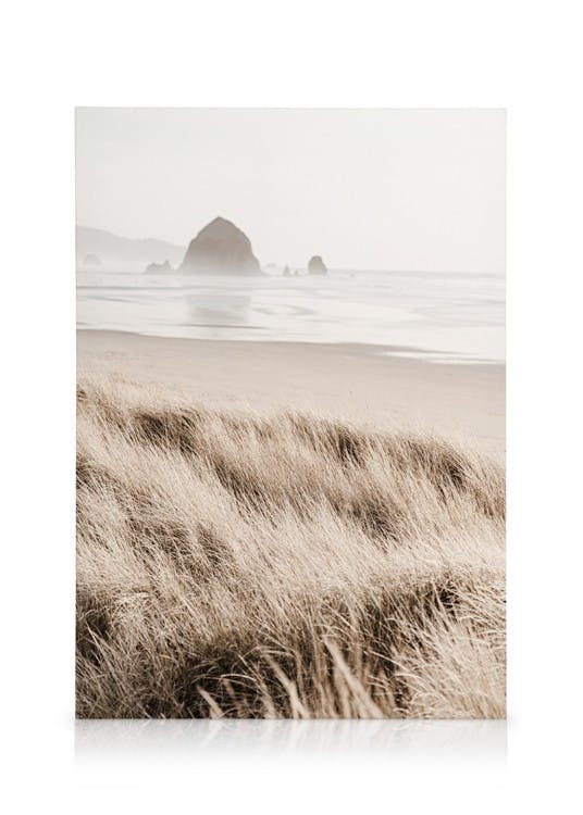 Canvastavlor Morning Beach Canvastavla (30x40 cm)