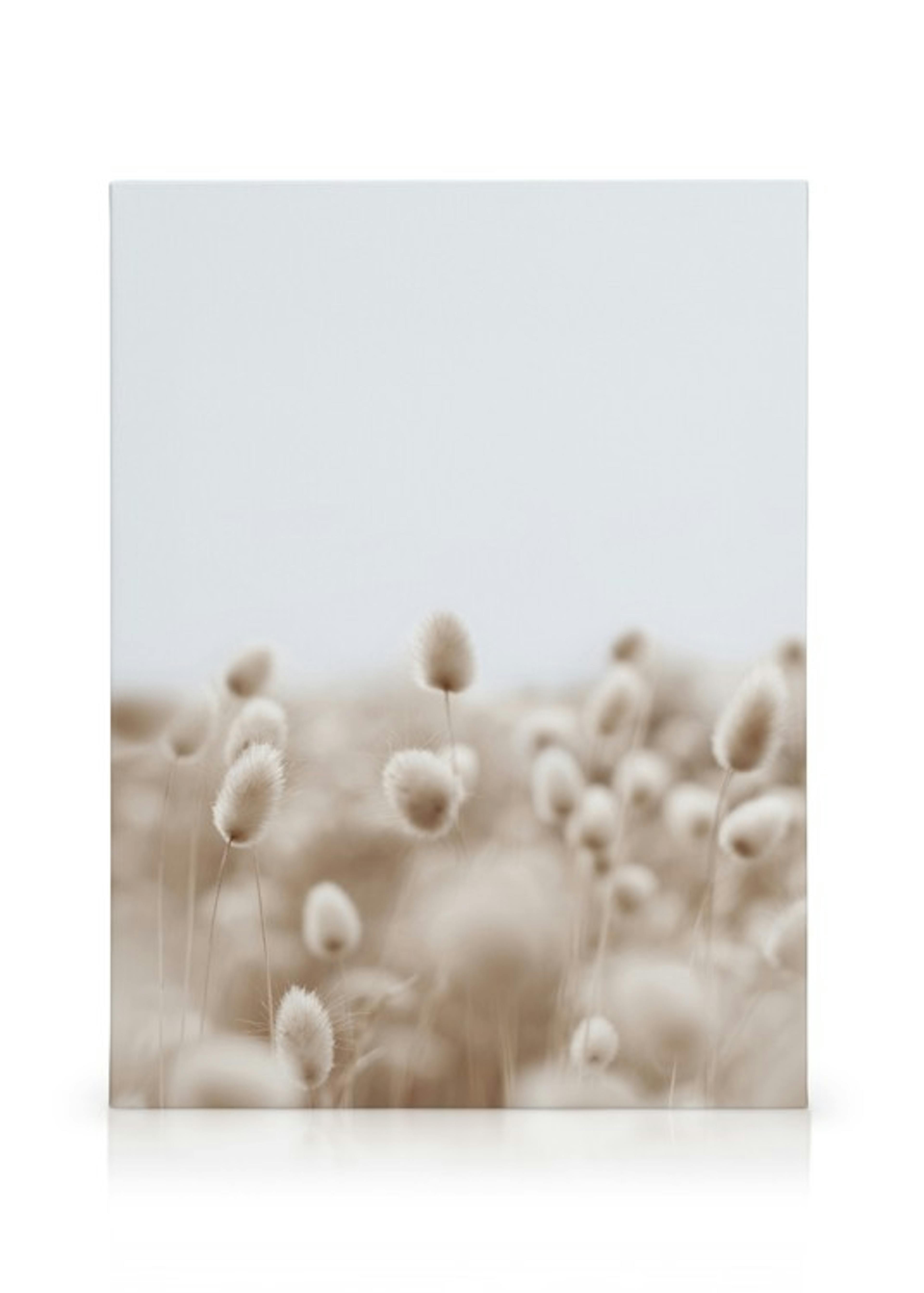 Product image: 1